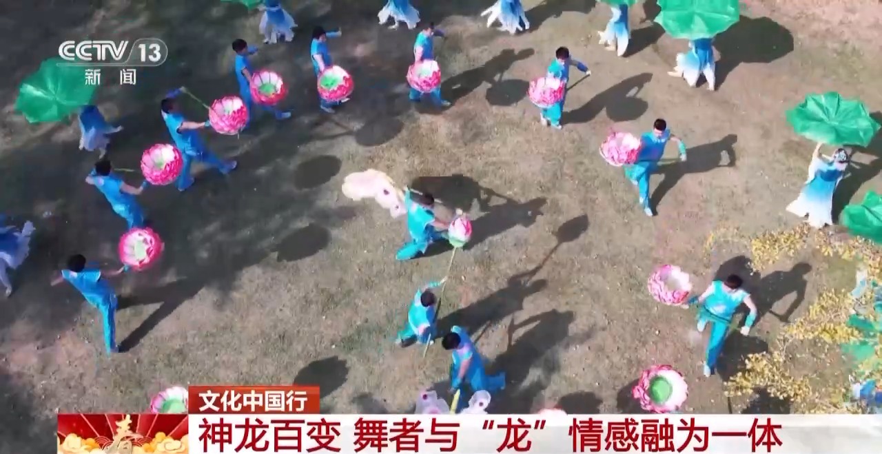 龙、百叶龙……来看不拘一格的龙舞之美不朽情缘网站文化中国行丨火龙、板凳(图12)