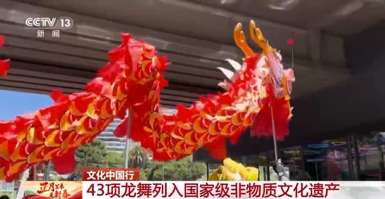 龙、百叶龙……来看不拘一格的龙舞之美不朽情缘网站文化中国行丨火龙、板凳(图16)