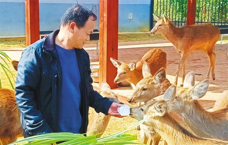 质量发展产业调研】林下生金不朽情缘平台登录网页【高(图2)